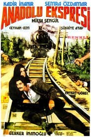 Anadolu Ekspresi