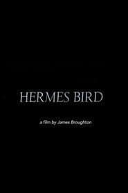 Hermes Bird
