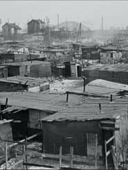 Une vie en transit, ou l'illusion du provisoire