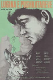 Valley of the Riflemen