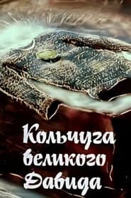 Big David's Chain Shirt