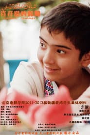 Xiao Kaiti's Vacation