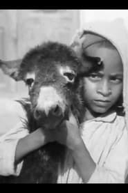 Sem Título # 11: Um Analecto à Mula