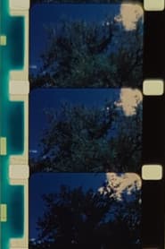 Englewood Cottonwood