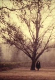 D. Jaime or the Portuguese Night