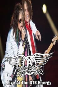 Aerosmith Live in Detroit