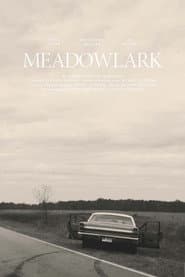 Meadowlark