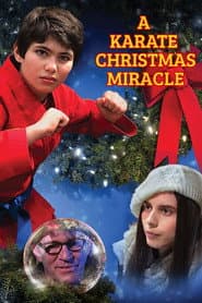 A Karate Christmas Miracle