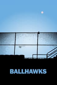 Ballhawks