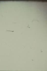 Arabic Numeral Series 13