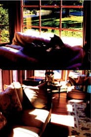 Aberration of Starlight