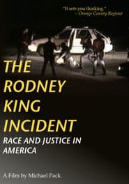 The Rodney King Incident: Race and Justice in America