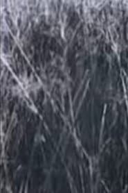 Return to the Sedge Fields