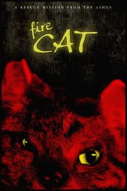 Fire Cat