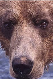 Showdown at Grizzly River