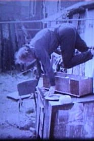 What You See Is Where You’re At