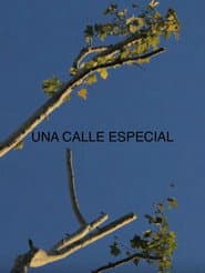 Una Calle Especial