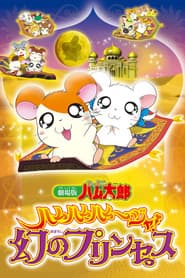 Hamtaro: The Captive Princess
