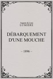 Lyon: Débarquement d'une mouche