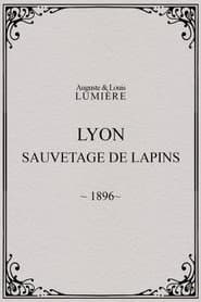 Lyon : sauvetage de lapins