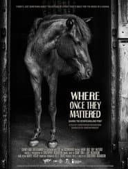 Where Once They Mattered