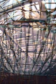 Aperspectival House Variation