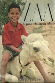 Zaa, the Little White Camel