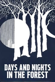 Days and Nights in the Forest