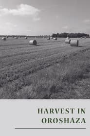 Harvest in Orosháza