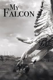 My Falcon