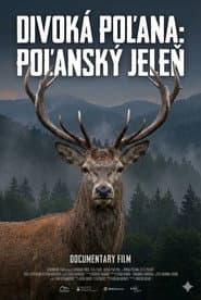 Divoká Poľana: Poľanský jeleň