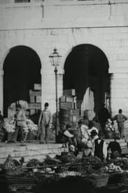 Panoramic View of the Vegetable Market at Venice