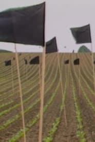 Und die Galaxien hörten