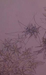 Houses (for Margaret)