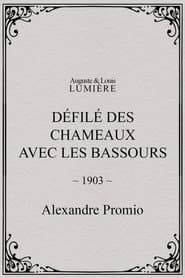 Défilé des chameaux avec les Bassours