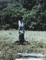 A Matter of Baobab: With One Growth