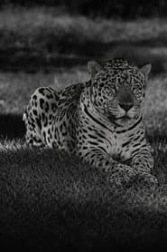 Jardim Zoológico do Rio de Janeiro