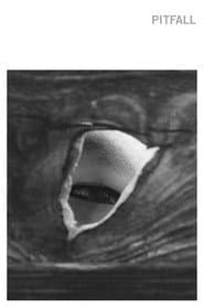 Pitfall