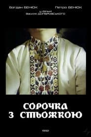 A Shirt with Ukrainian Embroidery