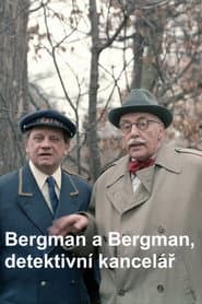 Bergman a Bergman, detektivní kancelář