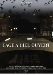 Cage À Ciel Ouvert