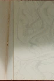 N'importe Quoi (Extérieur - Jour)