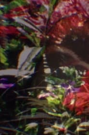 Return to Nature! The True Natural Method of Healing and Living and the True Salvation of the Soul: Paradise Regained—The Core of the Body—Water, Human Curative Power, Light, Air, Earth, Food, Fruit Culture