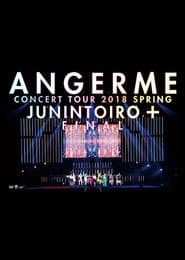 ANGERME Concert Tour 2018 Haru Juunin Toiro + Final