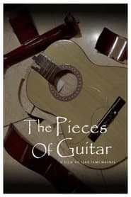 The Pieces Of Guitar