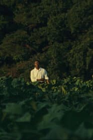 JESUS IS COMING (to take the Church away)