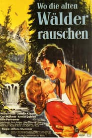 Wo die alten Wälder rauschen