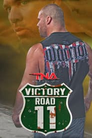 TNA Victory Road 2011