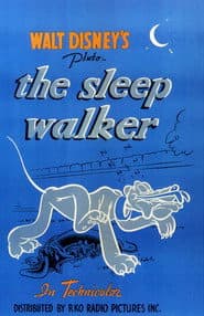 The Sleepwalker