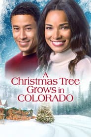 A Christmas Tree Grows in Colorado